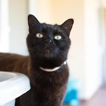 Hotel Neu! Glucksmoment Bodensee