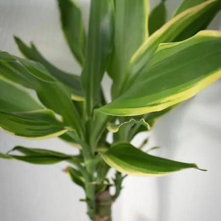 Neu! Glucksmoment Bodensee Hotel Stahringen