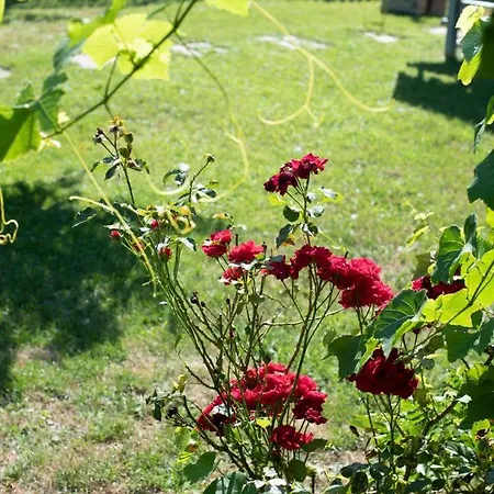 Hotel Neu! Glucksmoment Bodensee *