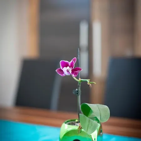 Neu! Glucksmoment Bodensee