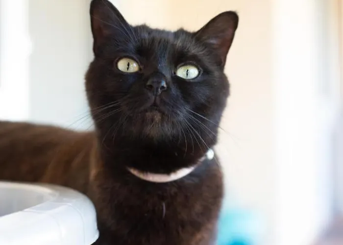 Hotel Neu! Glucksmoment Bodensee