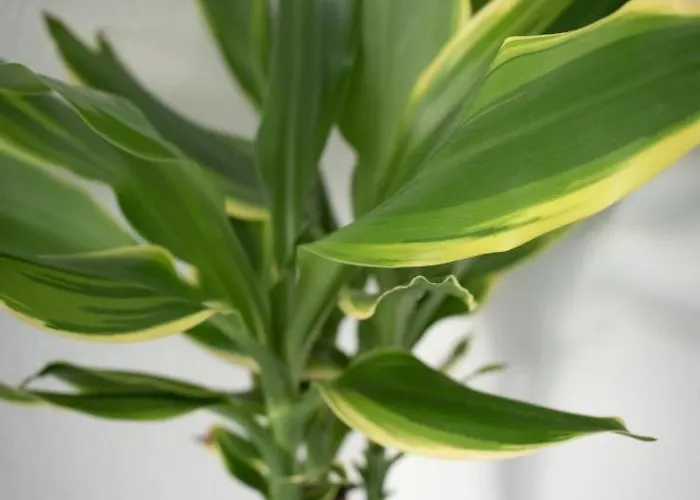 Neu! Glucksmoment Bodensee Hotel Stahringen