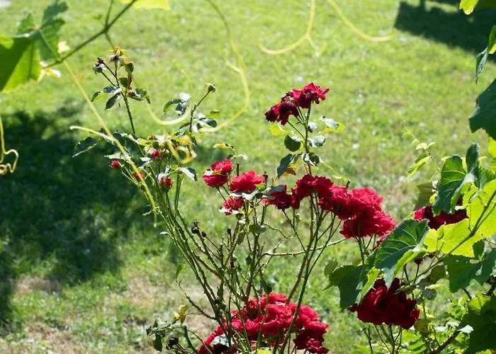 Hotel Neu! Glucksmoment Bodensee *